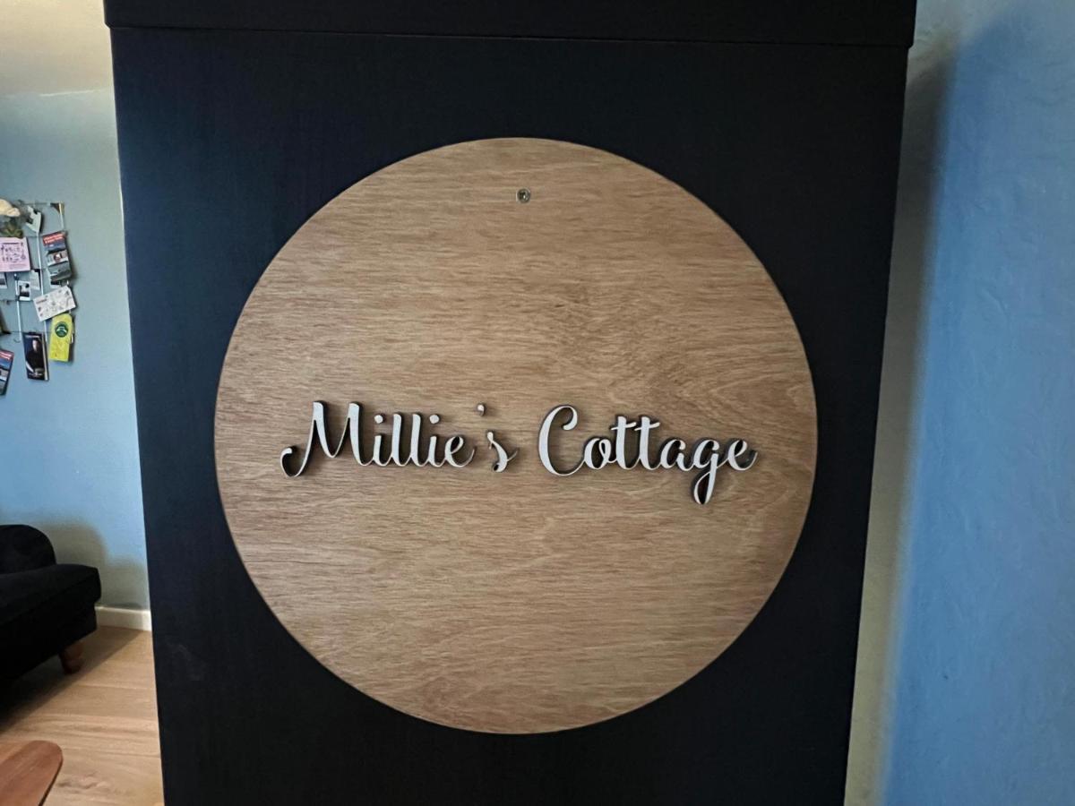 Millies Cottage Paignton Extérieur photo